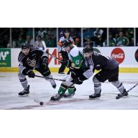 Vancouver Giants sandwich the Prince Albert Raiders in Game 6