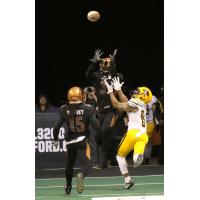 Allen Chapman of the Arizona Rattlers jumps to catch the ball against the Tucson Sugar Skulls