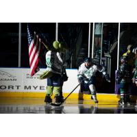 Florida Everblades forward Michael Neville enters the ice