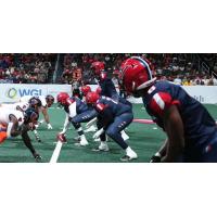 Washington Valor offense lines up against the Albany Empire