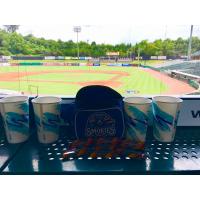 Tennessee Smokies fanny packs and Fruit Stripe Gum