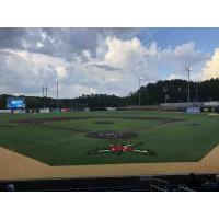 Ting Field, home of the Holly Springs Salamanders