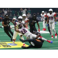 Arizona Rattlers vs. the Sioux Falls Storm in the United Bowl
