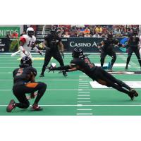 Jamal Miles of the Arizona Rattlers makes a diving catch attempt