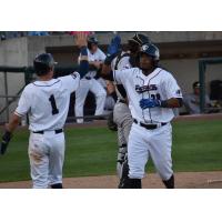 Jimmy Paredes of the Somerset Patriots receives a high five following his home run